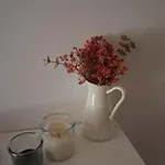 Vibru Vilallonga شقة *