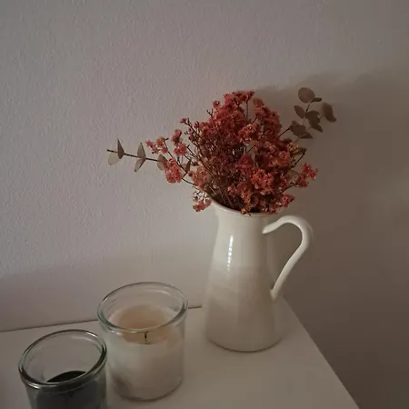Can Vibru Vilallonga Apartment *